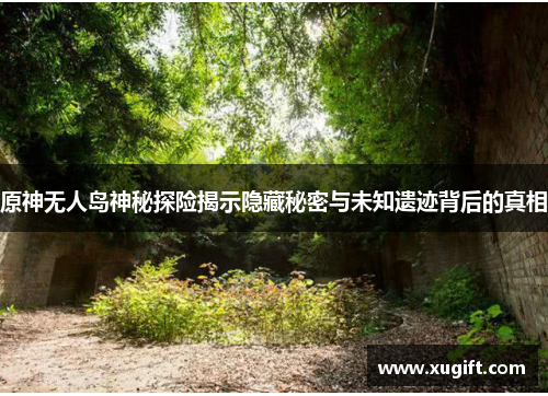 原神无人岛神秘探险揭示隐藏秘密与未知遗迹背后的真相